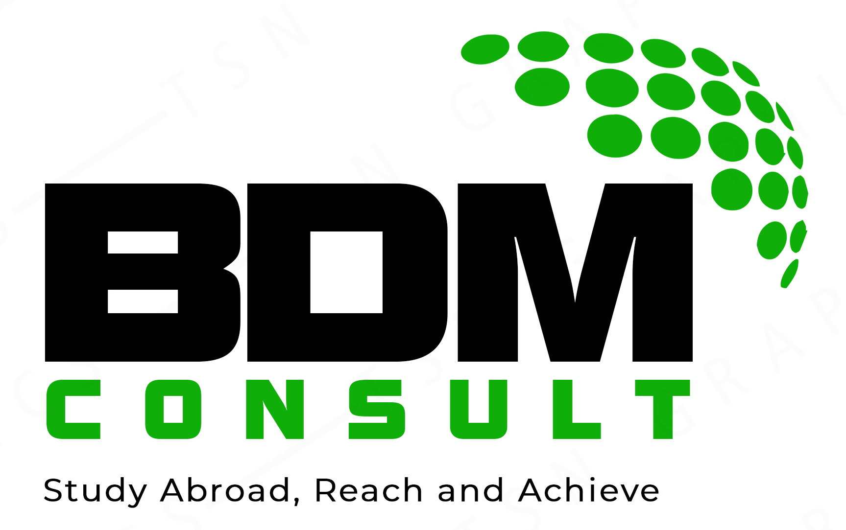 BDM Consult